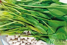 菠菜不能和什么一起吃？菠菜和什么食物相克嗎？