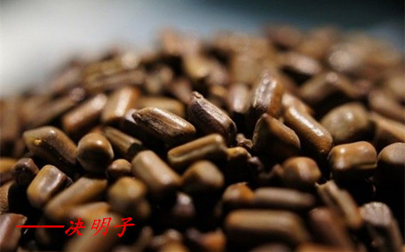 決明子對月經(jīng)有影響嗎 決明子對人體有什么好處