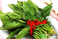 吃菠菜好嗎？吃菠菜的好處和壞處？