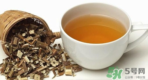 經期可以喝迷迭香茶嗎?經期喝好嗎 經期可以喝迷迭香茶嗎?經期喝好嗎