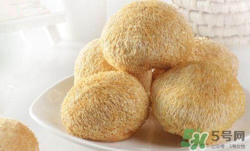 猴頭菇養(yǎng)胃嗎?猴頭菇養(yǎng)胃做法大全 猴頭菇養(yǎng)胃嗎?猴頭菇養(yǎng)胃做法大全