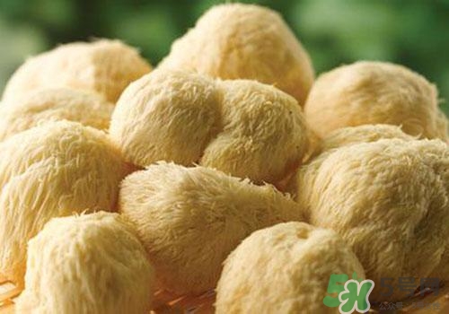 猴頭菇苦可以吃嗎？猴頭菇苦怎么回事？