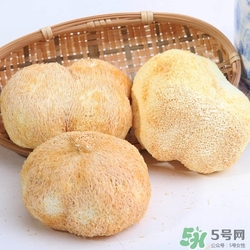 感冒能吃猴頭菇嗎?感冒吃猴頭菇好嗎 感冒能吃猴頭菇嗎?感冒吃猴頭菇好嗎