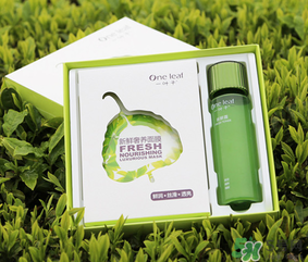 一葉子面膜怎么用？一葉子面膜使用方法