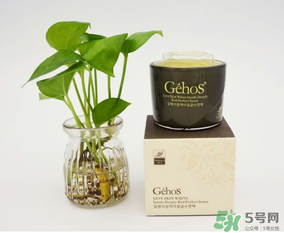 姬存希是哪個國家的？姬存希是哪里產(chǎn)的？