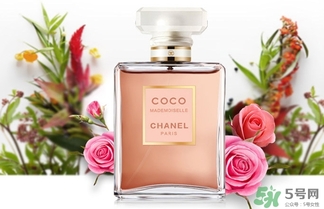 香奈兒黑coco香水和白coco香水哪個好？香奈兒黑可可和白可可選擇