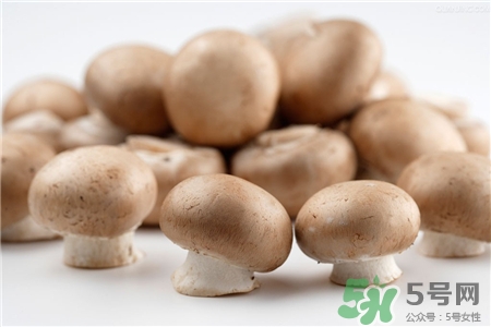 褐菇的營養(yǎng)價值 褐菇的功效與作用 褐菇的營養(yǎng)價值 褐菇的功效與作用