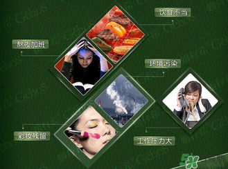 姬存希黃瓜膠多少錢(qián)？姬存希黃瓜膠價(jià)格