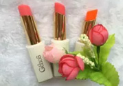 姬存希口紅多少錢？姬存?？诩t價格