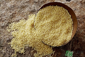 糖尿病人可以吃高粱米嗎?糖尿病吃高粱米好嗎 糖尿病人可以吃高粱米嗎?糖尿病吃高粱米好嗎