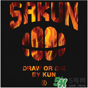 sakun是大品牌嗎？sakun是什么牌子