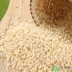 高粱米可以直接煮飯嗎?高粱米怎么煮飯 高粱米可以直接煮飯嗎?高粱米怎么煮飯