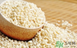 高粱米可以直接煮飯嗎?高粱米怎么煮飯 高粱米可以直接煮飯嗎?高粱米怎么煮飯