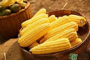 一歲寶寶能吃高粱米嗎?寶寶吃高粱米好嗎 一歲寶寶能吃高粱米嗎?寶寶吃高粱米好嗎