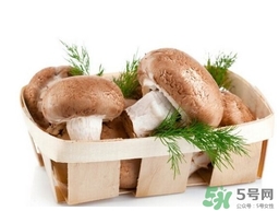 香菇顏色深好還是淺好？鮮香菇顏色越深越好嗎？