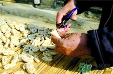 豆絲的營養(yǎng)價值 豆絲的功效與作用 豆絲的營養(yǎng)價值 豆絲的功效與作用