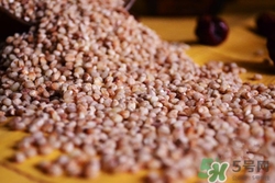 高粱米能降血糖嗎?高粱米降血糖怎么吃 高粱米能降血糖嗎?高粱米降血糖怎么吃