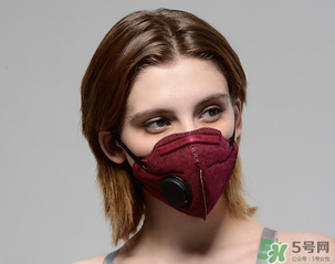 pm2.5口罩多少錢？pm2.5口罩價(jià)格