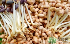 花生芽的營(yíng)養(yǎng)價(jià)值 花生芽的功效與作用