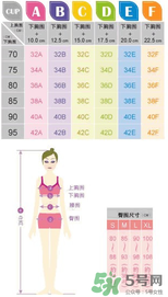 都市麗人內(nèi)衣怎么樣？都市麗人尺碼表