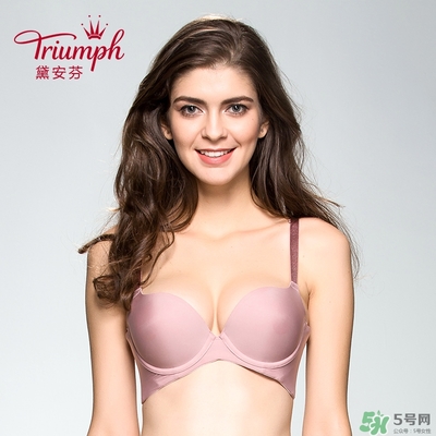 黛安芬內(nèi)衣怎么樣？黛安芬內(nèi)衣價(jià)格圖片