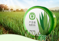 雅麗潔蘆薈膠多少錢？雅麗潔蘆薈膠好不好？