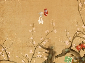 臘八節(jié)出生的女寶寶怎么取名？臘八節(jié)出生的男寶寶怎么取名？