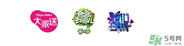 雅麗潔這個牌子怎么樣？雅麗潔是哪國的牌子