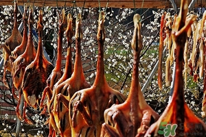 臘肉長(zhǎng)蟲(chóng)了還能吃嗎?臘肉長(zhǎng)蟲(chóng)怎么處理 臘肉長(zhǎng)蟲(chóng)了還能吃嗎?臘肉長(zhǎng)蟲(chóng)怎么處理