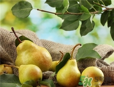 梨子能做面膜嗎?梨子怎么做面膜 梨子能做面膜嗎?梨子怎么做面膜