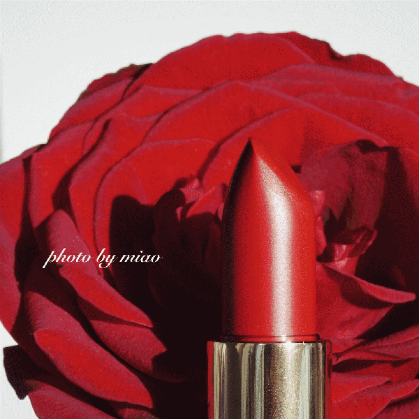 蘭蔻菁純絲絨唇膏290多少錢？蘭蔻菁純絲絨唇膏290專柜價(jià)格