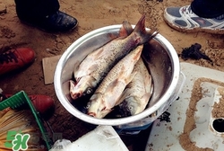 腌魚(yú)臭了能吃嗎?腌魚(yú)臭了怎么做好吃