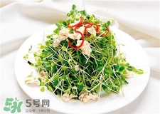 芽苗菜的營(yíng)養(yǎng)價(jià)值 芽苗菜的功效與作用 芽苗菜的營(yíng)養(yǎng)價(jià)值 芽苗菜的功效與作用