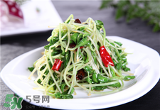 芽苗菜的營(yíng)養(yǎng)價(jià)值 芽苗菜的功效與作用 芽苗菜的營(yíng)養(yǎng)價(jià)值 芽苗菜的功效與作用