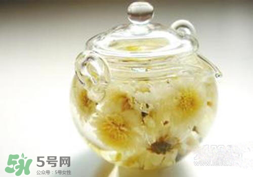 菊花茶什么時候喝最好？菊花茶什么季節(jié)喝最好？