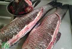 新鮮魚(yú)怎么腌制咸魚(yú)塊？咸魚(yú)塊怎么腌制