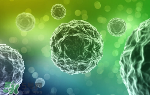 脂肪瘤是怎么形成的?脂肪瘤如何治療 脂肪瘤是怎么形成的?脂肪瘤如何治療