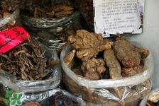 小孩可以吃靈芝嗎?小孩吃靈芝有什么作用 小孩可以吃靈芝嗎?小孩吃靈芝有什么作用