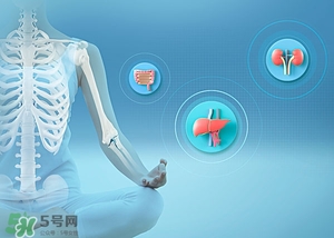 腎陰虛能吃靈芝嗎?腎陰虛吃什么食物