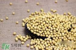 黃豆糖尿病人能吃嗎？糖尿病可以吃黃豆嗎？