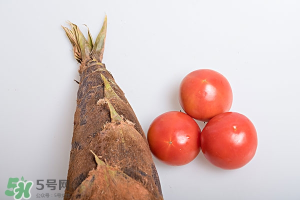 冬筍會(huì)不會(huì)回奶?吃冬筍回奶嗎? 冬筍會(huì)不會(huì)回奶?吃冬筍回奶嗎?