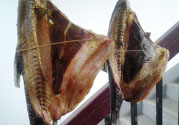 新鮮魚(yú)怎么腌制咸魚(yú)塊？咸魚(yú)塊怎么腌制