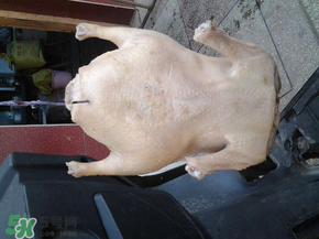 腌鴨子要腌多長時間？腌鴨子需要多長時間？