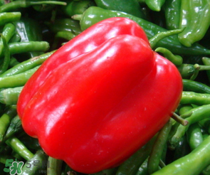 辣椒變紅能吃嗎？辣椒為什么會變紅？