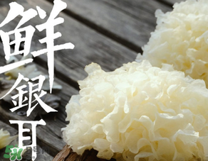 新鮮銀耳有毒嗎？新鮮銀耳怎么去毒？