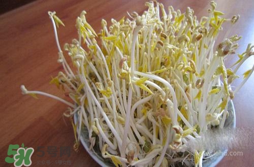 豆芽糖尿病可以吃嗎？糖尿病吃豆芽有什么好處？