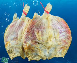 咸魚(yú)怎么保存？咸魚(yú)可以放冰箱嗎？