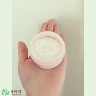 the body shop維e晚霜怎么用？美體小鋪維e晚霜使用方法