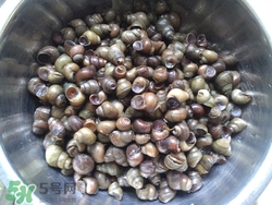 田螺有寄生蟲(chóng)嗎?田螺怎么洗最快最干凈 田螺有寄生蟲(chóng)嗎?田螺怎么洗最快最干凈