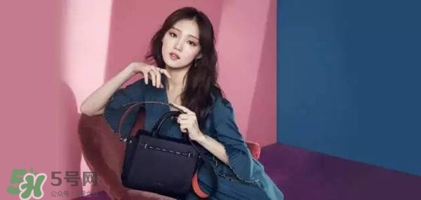 李圣經(jīng)的包包什么牌子？李圣經(jīng)包包同款